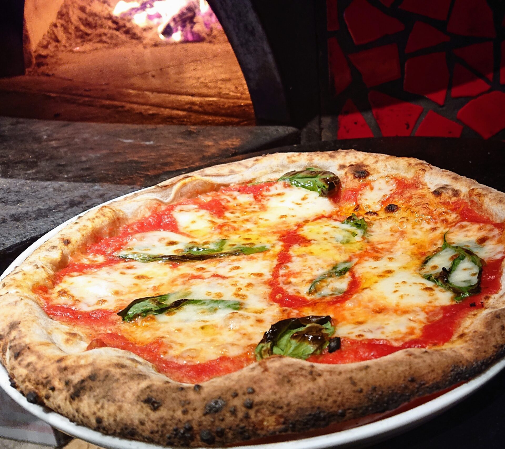 export pizzeria di belmonte massimo & c. snc